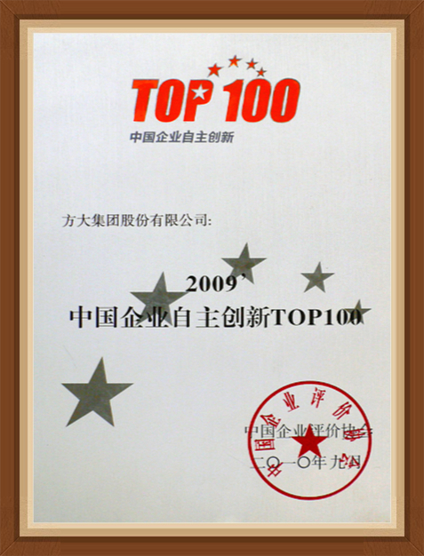 2009 中國(guó)企業(yè)自主創(chuàng)新100強(qiáng)